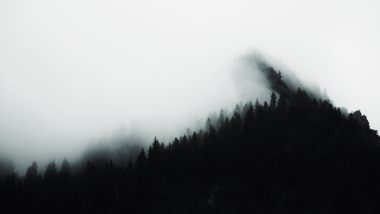 Mountain covered in trees silhouette made to look spooky