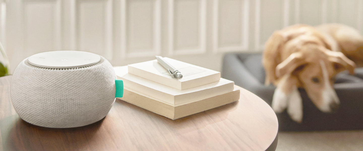 Image of Snooze White Noise Machine on a table next to a pen, on top of 3 pads.  And there is a dog to the left of the table resting on a dog bed.