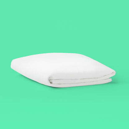 Tuft and Needle mattress protector.